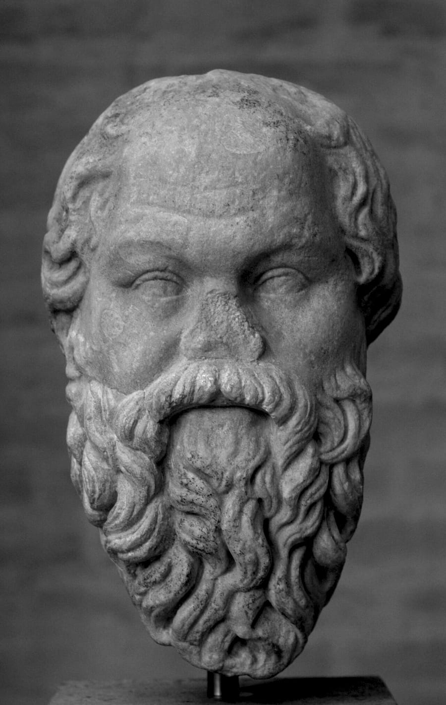 Marble portrait head of Socrates, a bearded man with a broad forehead and a heavy, curling beard, seen from the front.